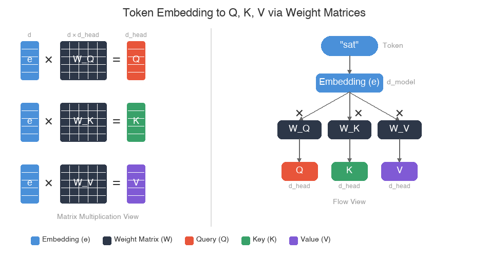 Token Embedding to Q, K, V via Weight Matrices